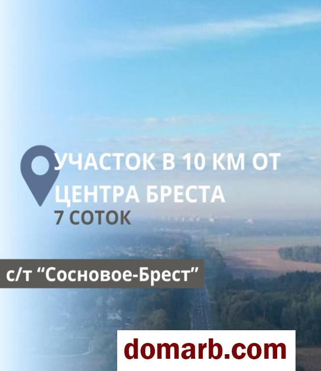 Купить Сосновое-брест Купить Участок $18000 в городе Сосновое-брест