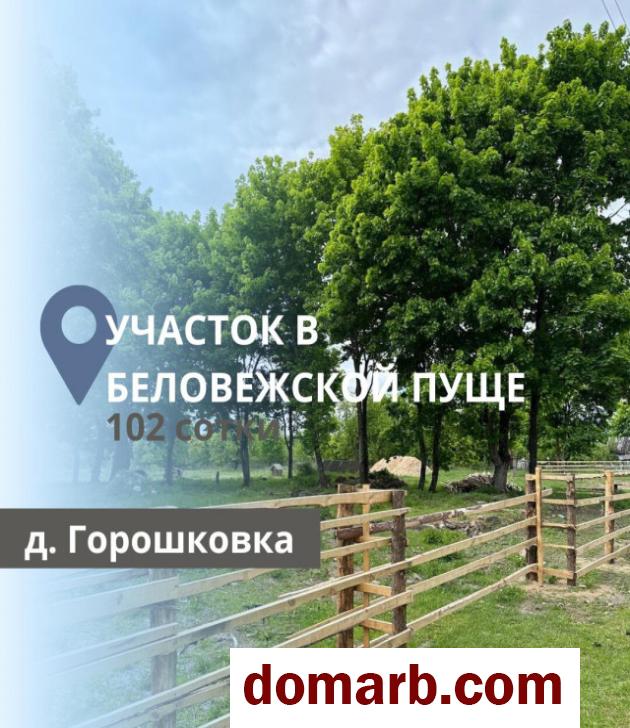 Купить Горошковка 2 Купить Участок $50000 в городе Горошковка 2