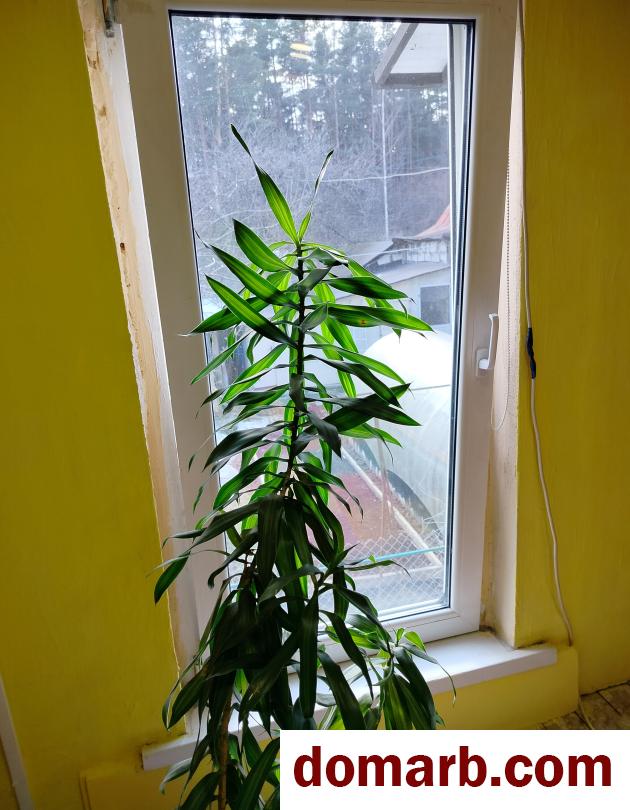 Купить Минск Снять Комнату 2016 г. 65 м2 2 этаж 3-ная Подлесная ул. $1 в городе Минск