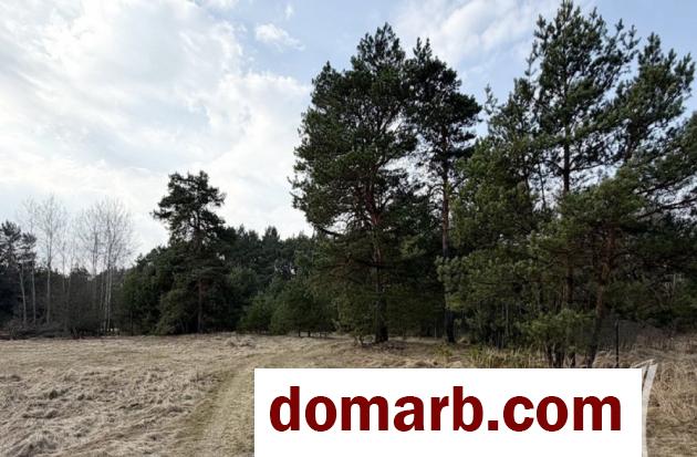 Купить Дубица Снять коттедж Домачевский с/с ул. $11500 в городе Дубица