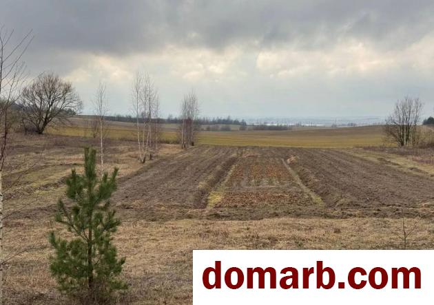 Купить Дуброво Купить Участок Центральная ул ул. $45000 в городе Дуброво