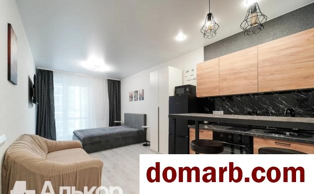 Купить Минск Купить Квартиру 2024 г. 29.5 м2 17 этаж 1-ная Николы Тес� в городе Минск