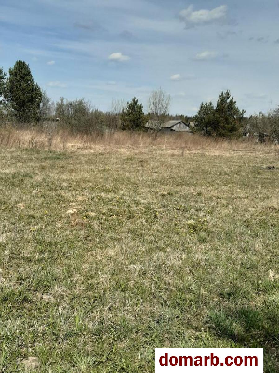 Купить Узда Купить Участок СТ Ангел ул. $2500 в городе Узда