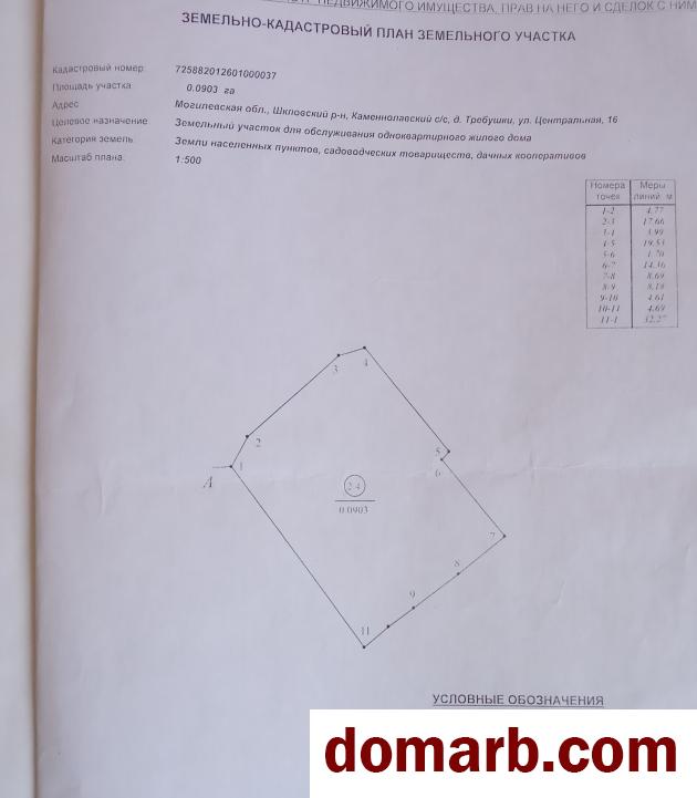 Купить Требушки Купить Дом 1 этаж 1-ная Центральная ул. $2724 в городе Требушки