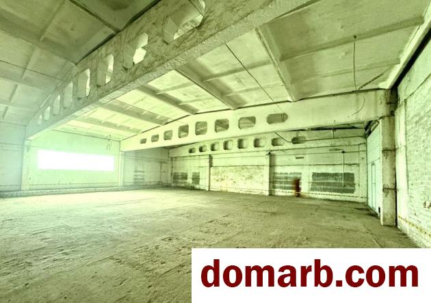 Купить Белыничи Арендовать коммерческую недвижимость 650 м2 Да в городе Белыничи