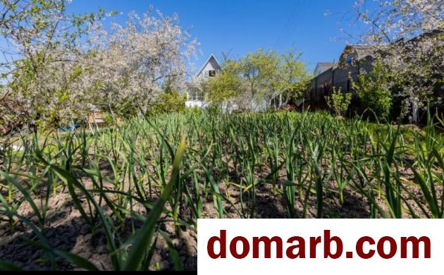 Купить Энергетик-1 Купить Участок 1 этаж 1-ная Горная ул. $15900 в городе Энергетик-1