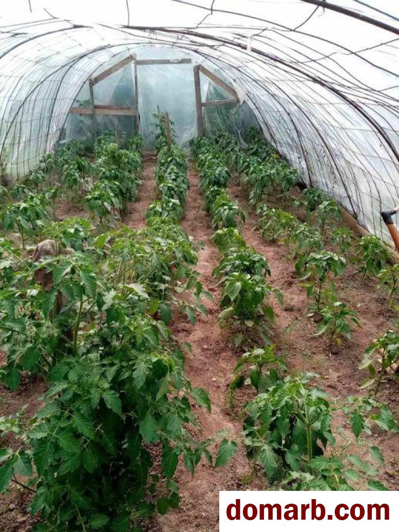 Купить Орша Купить Участок Климента Тимирязева ул ул. $9300 в городе Орша