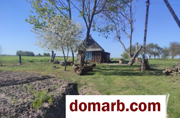 Купить Лыщицы Купить Участок Лыщицкий с/с ул. $12000 в городе Лыщицы