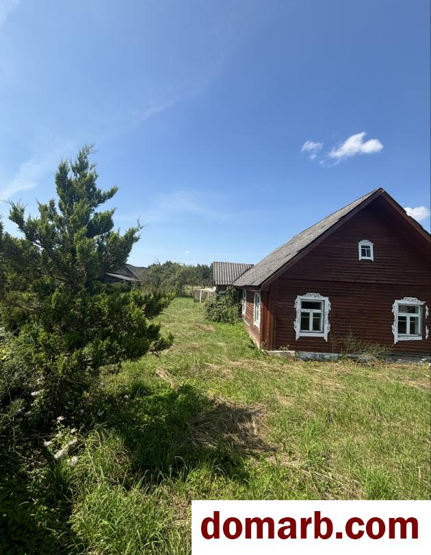 Купить Новоселки Купить Дом 50 м2 1 этаж 1-ная Центральная ул. $990 в городе Новоселки