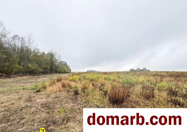 Купить Дворище Купить Участок Центральная ул ул. $23000 в городе Дворище