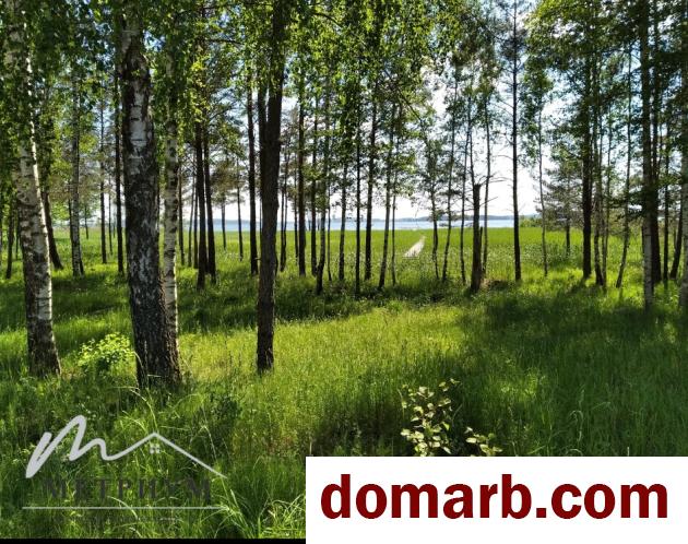 Купить Красногорка Купить Участок 1 этаж 1-ная Приозерная ул. $1 в городе Красногорка