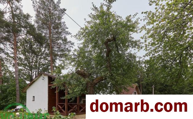 Купить Крыжовка Купить дом 2023 г. 60.4 м2 $79900 в городе Крыжовка