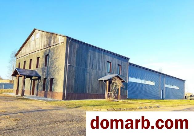 Купить Сенно Купить Коммерческую недвижимость 478 м2 Октябрьск в городе Сенно