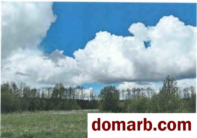 Купить Буды Купить Участок $1051 в городе Буды