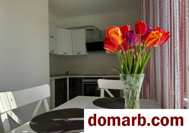 Минск Снять Квартиру 1-ная Турова ул. $450