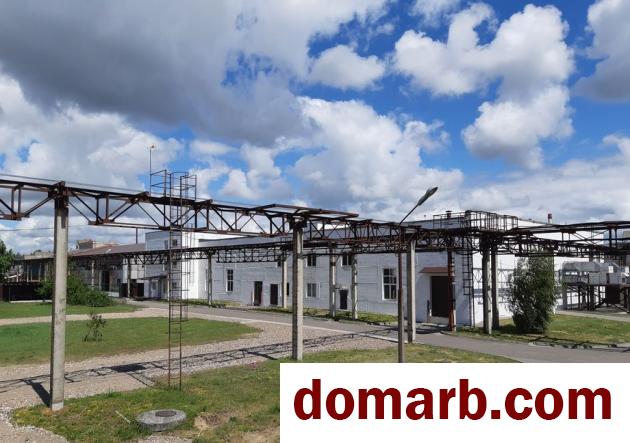 Купить Пинск Арендовать коммерческую недвижимость 6500 м2 Козу� в городе Пинск