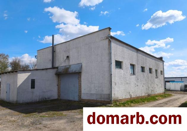 Купить Могилёв Арендовать коммерческую недвижимость 300 м2 Чел в городе Могилёв