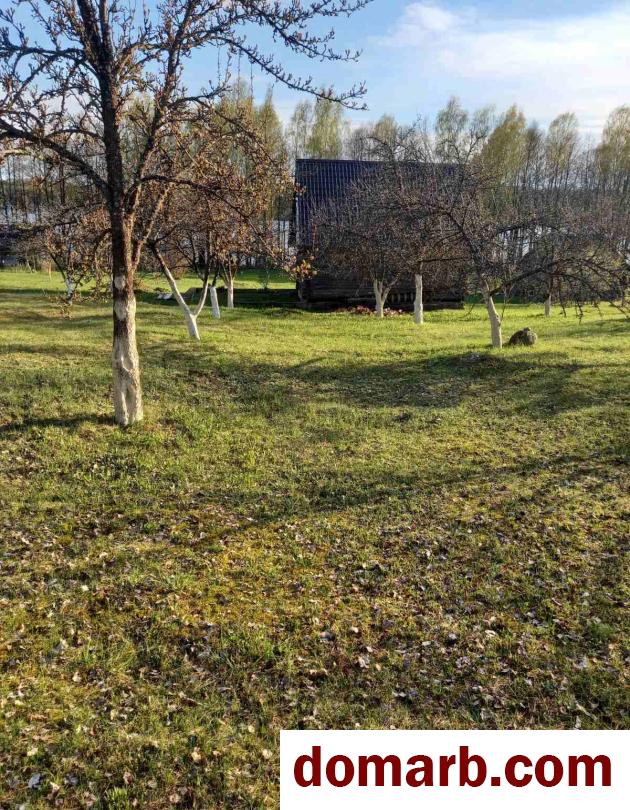 Купить Домашковичи Купить Участок 1 этаж 1-ная Дачная ул. $106270 в городе Домашковичи