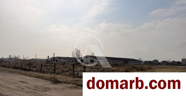 Купить Брест Купить Коммерческую недвижимость 6716.4 м2 Учитель� в городе Брест