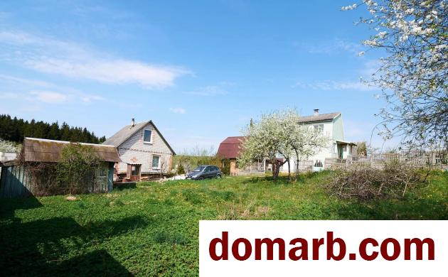 Купить Беларусь Купить Квартиру 1990 г. 6 м2 1 этаж 1-ная Новоселье в городе Беларусь