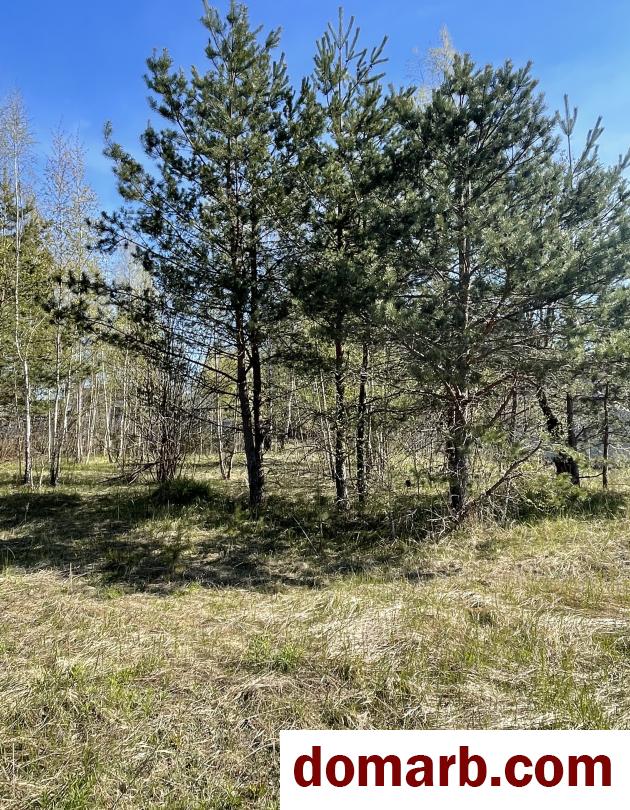 Купить Колодищи Купить Участок 1 этаж 1-ная Пасхальный пер. ул.  в городе Колодищи