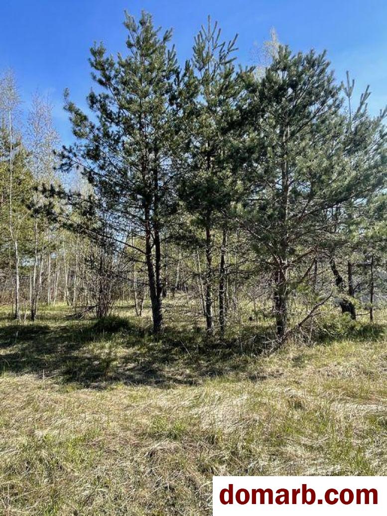 Купить Колодищи Купить Участок Пасхальный переулок ул. $178000 в городе Колодищи