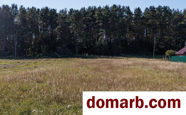 Купить Гливин Купить Участок 1 этаж 1-ная Лесная ул. $17700 в городе Гливин