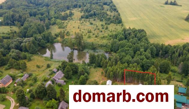 Купить Василевщина Купить Участок Центральная ул. $21000 в городе Василевщина