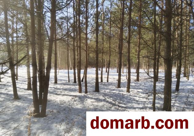 Купить Лесное Купить Участок 1 этаж 1-ная $20000 в городе Лесное