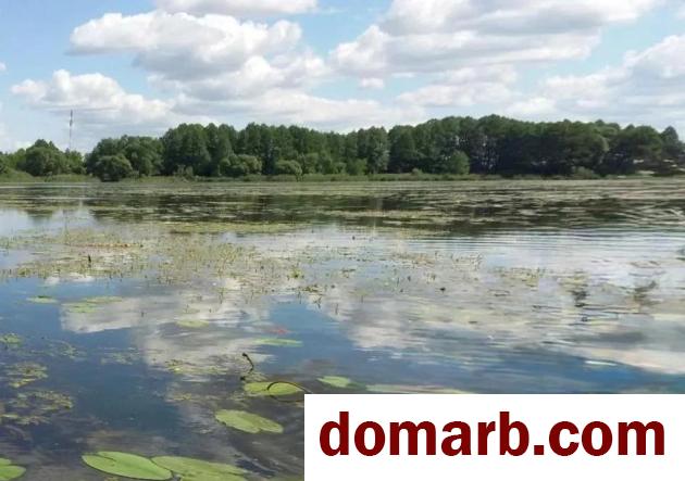 Купить Беларусь Купить Квартиру 2002 г. 43 м2 1 этаж 1-ная Петровин� в городе Беларусь
