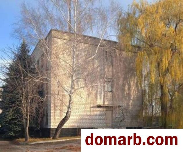 Купить Рогачёв Купить Коммерческую недвижимость 1640 м2 Друтск� в городе Рогачёв