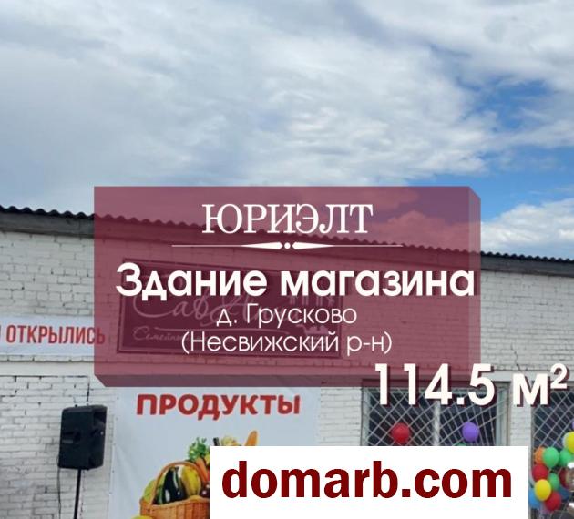 Купить Грусково Купить Коммерческую недвижимость 1967 г. 1 этаж  в городе Грусково