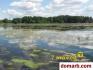 Беларусь Купить Квартиру 2002 г. 43 м2 1 этаж 1-ная Петровин�